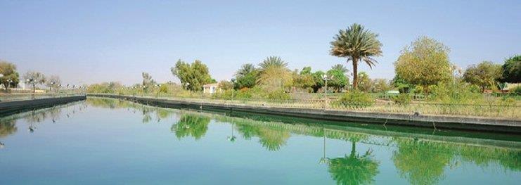 One To One Hotel & Resort Ain Al Faida Al Ain Eksteriør bilde